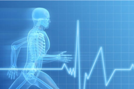 Medicina Dello Sport